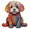 40x40cm Bichon Frisé Dog - Diamond Painting Kit