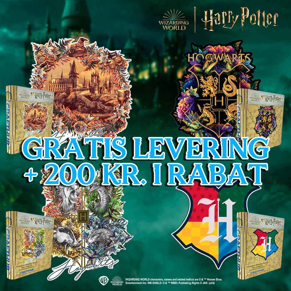 Harry Potter: Top 4 bedst sælgende puslespilssæt i træ