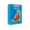 Animal Jigsaw Puzzle > Wooden Jigsaw Puzzle > Jigsaw Puzzle Ginger Cat - Jigsaw Puzzle